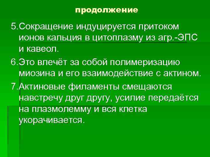 продолжение 5. Сокращение индуцируется притоком ионов кальция в цитоплазму из агр. -ЭПС и кавеол.