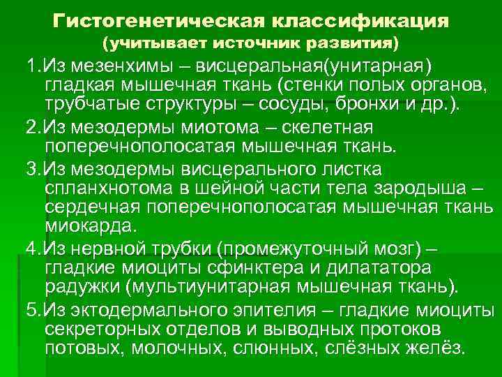 Гистогенетическая классификация (учитывает источник развития) 1. Из мезенхимы – висцеральная(унитарная) гладкая мышечная ткань (стенки