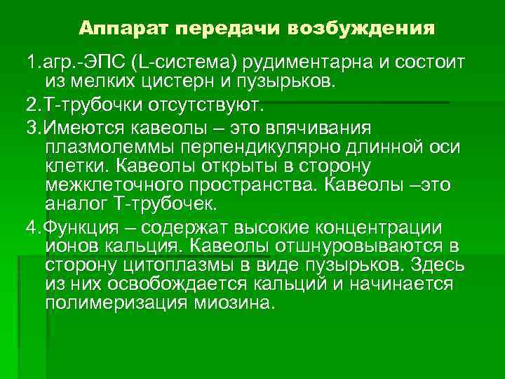 Аппарат передачи возбуждения 1. агр. -ЭПС (L-система) рудиментарна и состоит из мелких цистерн и