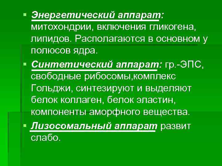 § Энергетический аппарат: митохондрии, включения гликогена, липидов. Располагаются в основном у полюсов ядра. §