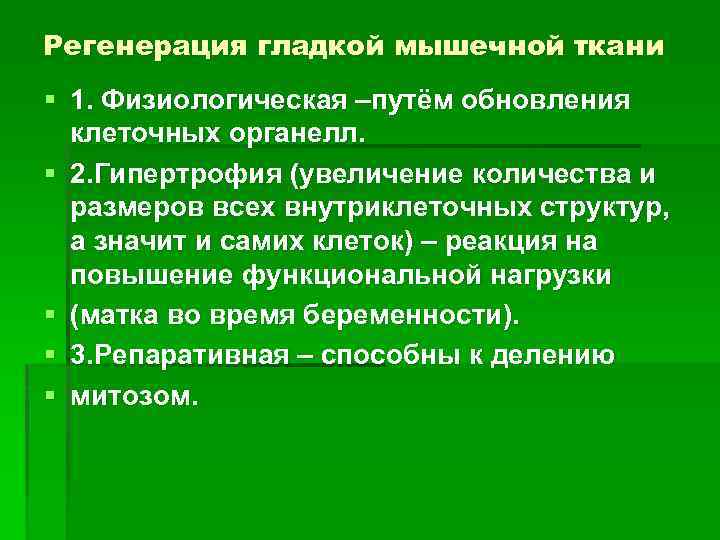 Регенерация гладкой мышечной ткани § 1. Физиологическая –путём обновления клеточных органелл. § 2. Гипертрофия