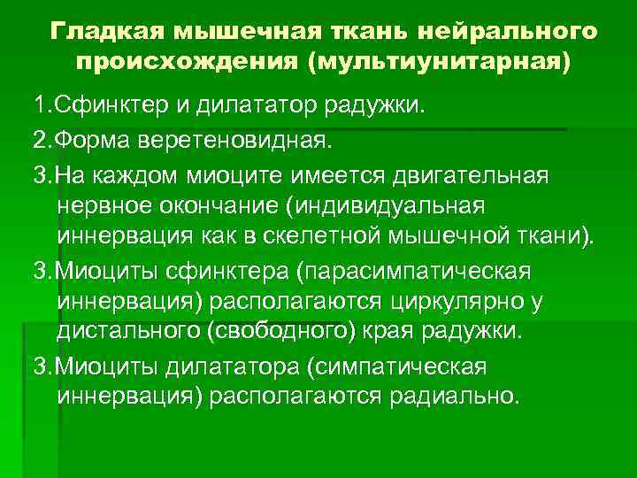 Гладкая мышечная ткань нейрального происхождения (мультиунитарная) 1. Сфинктер и дилататор радужки. 2. Форма веретеновидная.