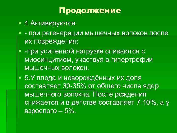 Продолжение § 4. Активируются: § - при регенерации мышечных волокон после их повреждения; §