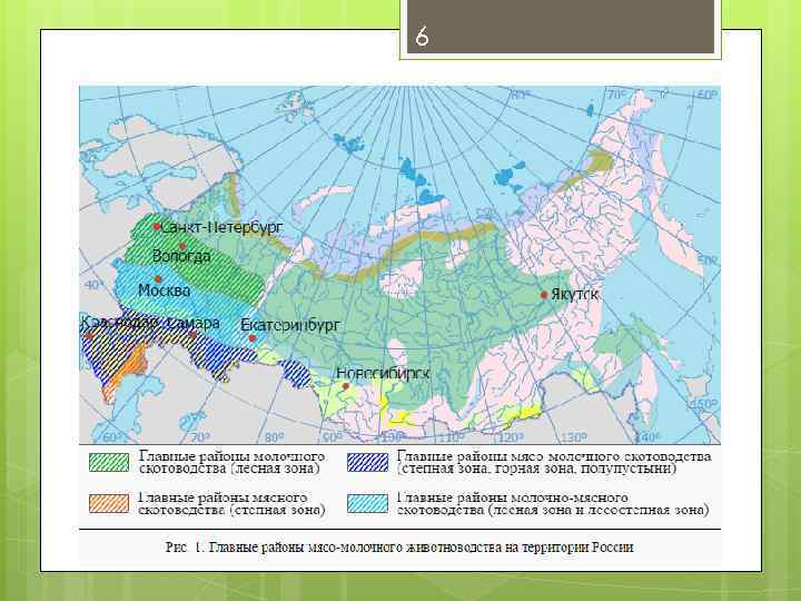 Контурная карта животноводство