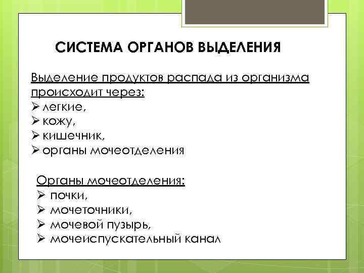 СИСТЕМА ОРГАНОВ ВЫДЕЛЕНИЯ Выделение продуктов распада из организма происходит через: Ø легкие, Ø кожу,