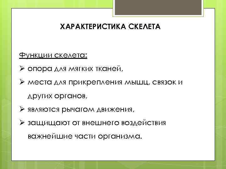 ХАРАКТЕРИСТИКА СКЕЛЕТА Функции скелета: Ø опора для мягких тканей, Ø места для прикрепления мышц,