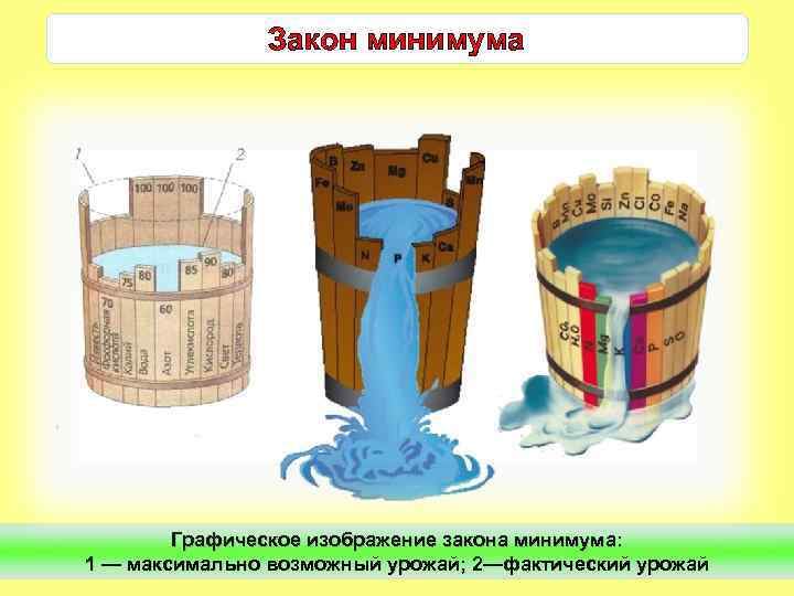 Закон минимума Графическое изображение закона минимума: 1 — максимально возможный урожай; 2—фактический урожай 