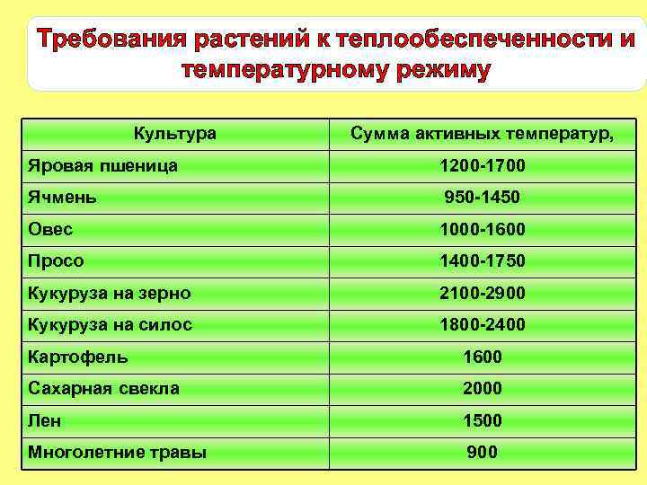 Сумма активных температур