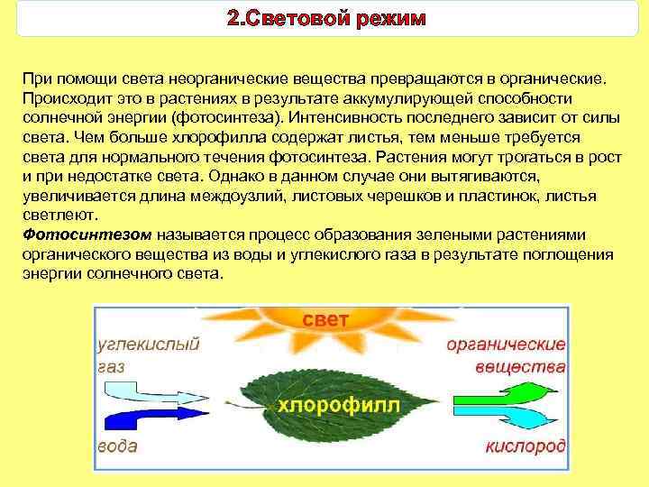 2. Световой режим При помощи света неорганические вещества превращаются в органические. Происходит это в