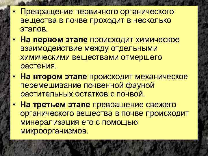  • Превращение первичного органического вещества в почве проходит в несколько этапов. • На
