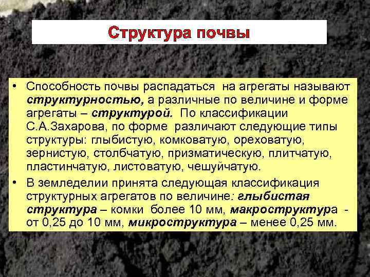Структура почвы • Способность почвы распадаться на агрегаты называют структурностью, а различные по величине