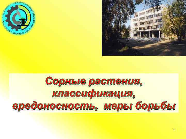 Сорные растения, классификация, вредоносность, меры борьбы 1 