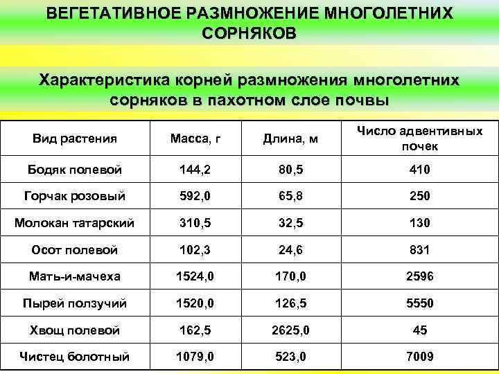 ВЕГЕТАТИВНОЕ РАЗМНОЖЕНИЕ МНОГОЛЕТНИХ СОРНЯКОВ Характеристика корней размножения многолетних сорняков в пахотном слое почвы Вид