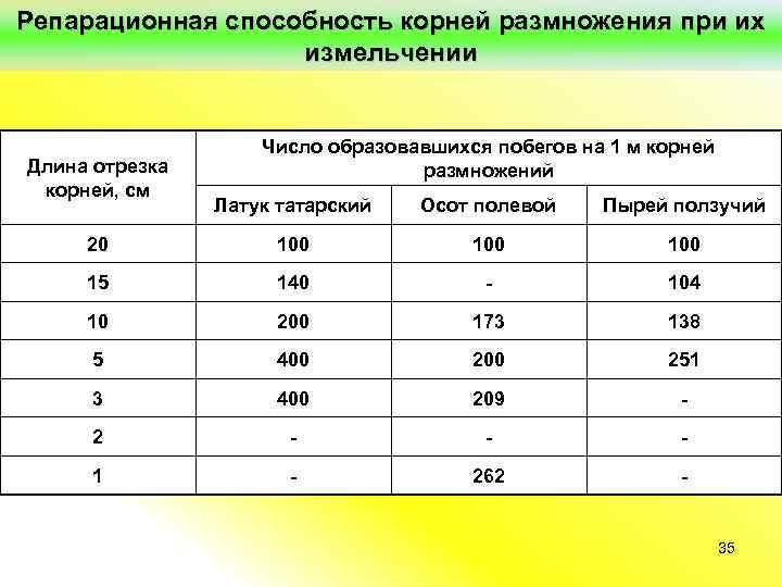 Репарационная способность корней размножения при их измельчении Длина отрезка корней, см Число образовавшихся побегов