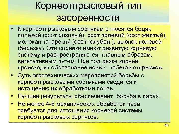 Корнеотпрысковый тип засоренности • К корнеотпрысковым сорнякам относятся бодяк полевой (осот розовый), осот полевой