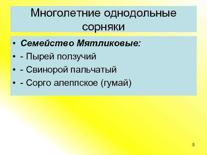 Многолетние однодольные сорняки • • Семейство Мятликовые: - Пырей ползучий - Свинорой пальчатый -