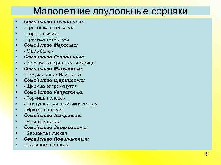 Малолетние двудольные сорняки • • • • • • Семейство Гречишные: - Гречишка вьюнковая