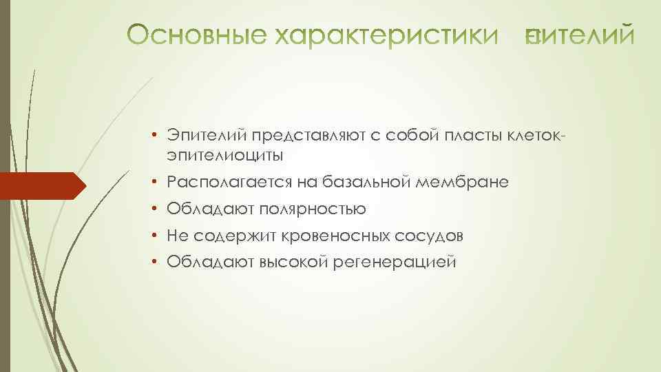  • Эпителий представляют с собой пласты клетокэпителиоциты • Располагается на базальной мембране •