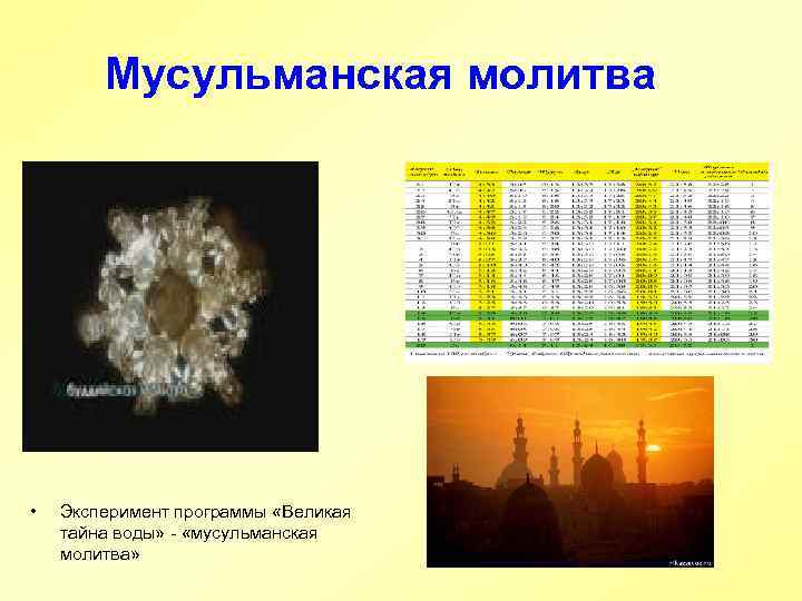 Мусульманская молитва • Эксперимент программы «Великая тайна воды» - «мусульманская молитва» 