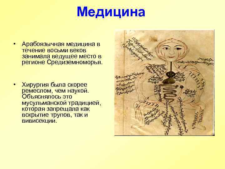 Медицина • Арабоязычная медицина в течение восьми веков занимала ведущее место в регионе Средиземноморья.