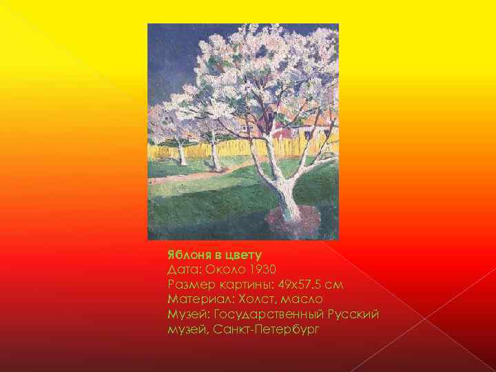 Яблоня в цвету Дата: Около 1930 Размер картины: 49 x 57. 5 см Материал: