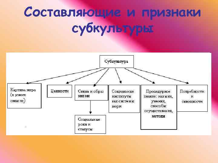 Составляющие и признаки субкультуры 