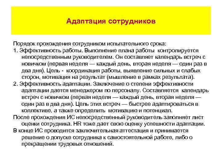 Адаптация сотрудников Порядок прохождения сотрудником испытательного срока: 1. Эффективность работы. Выполнение плана работы контролируется