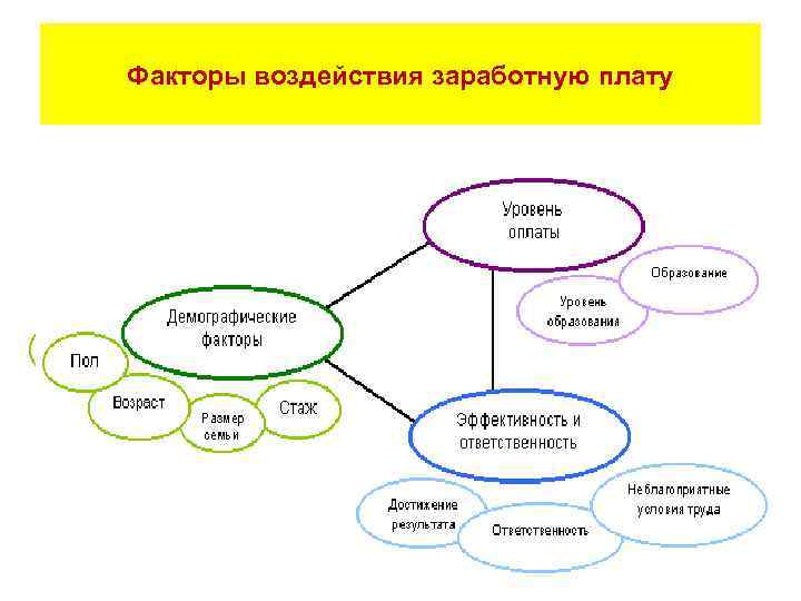 Факторы воздействия заработную плату 