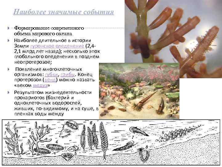 Наиболее значимые события Формирование современного объема мирового океана Наиболее длительное в истории Земли гуронское