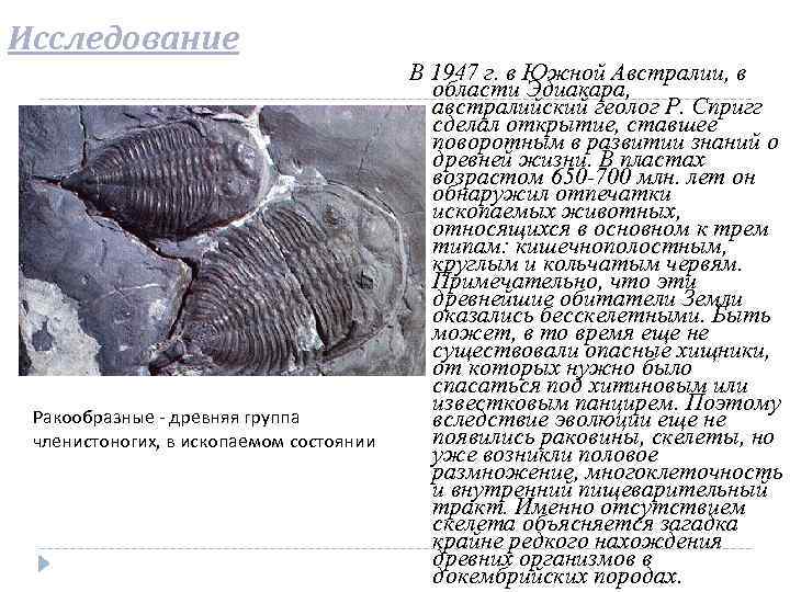 Исследование Ракообразные - древняя группа членистоногих, в ископаемом состоянии В 1947 г. в Южной