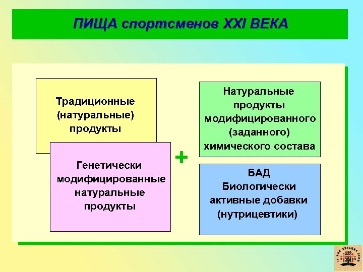 ПИЩА спортсменов XXI ВЕКА Традиционные (натуральные) продукты Генетически модифицированные натуральные продукты + Натуральные продукты