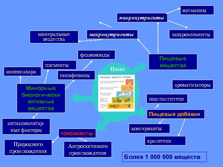 витамины микронутриенты минеральные вещества макронутриенты флавоноиды пигменты аминосахара Природного происхождения Пищевые вещества полифенолы ароматизаторы