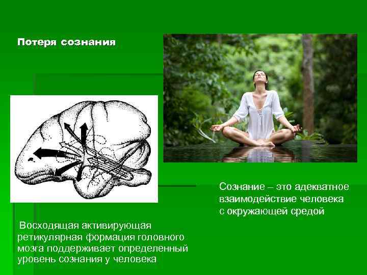 Потеря сознания Сознание – это адекватное взаимодействие человека с окружающей средой Восходящая активирующая ретикулярная