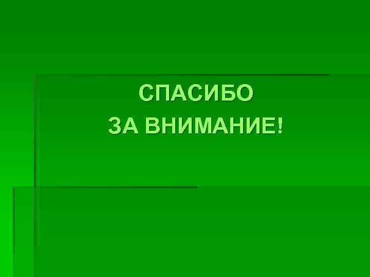 СПАСИБО ЗА ВНИМАНИЕ! 