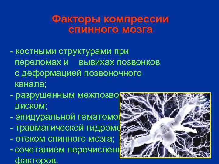 Факторы компрессии спинного мозга - костными структурами при переломах и вывихах позвонков с деформацией