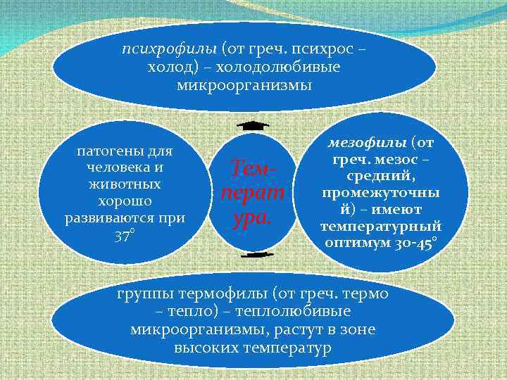 психрофилы (от греч. психрос – холод) – холодолюбивые микроорганизмы патогены для человека и животных