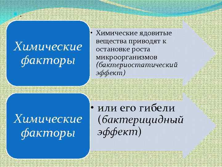 Фактор химия. Классификация химических факторов. Химические факторы внешней среды. Влияние внешней среды на микроорганизмы лекция. Какие вещества относятся к факторам роста микроорганизмов.