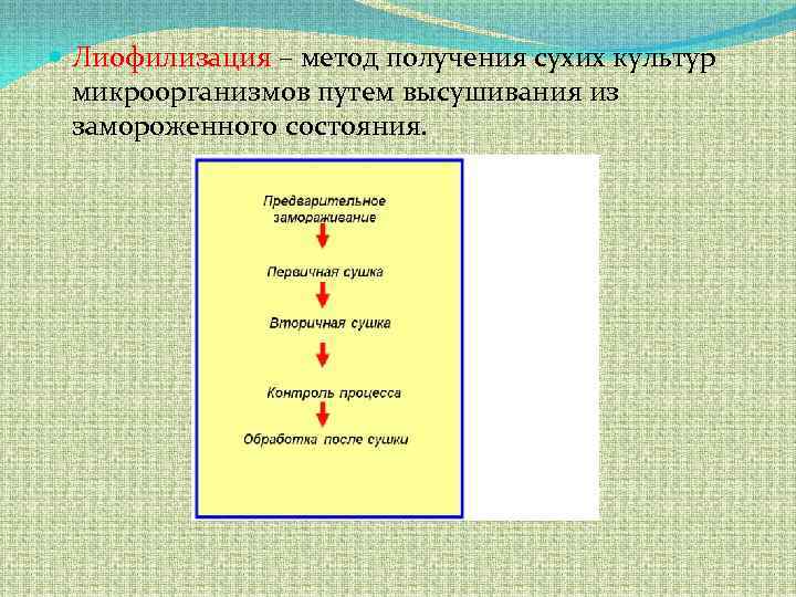  Лиофилизация – метод получения сухих культур микроорганизмов путем высушивания из замороженного состояния. 