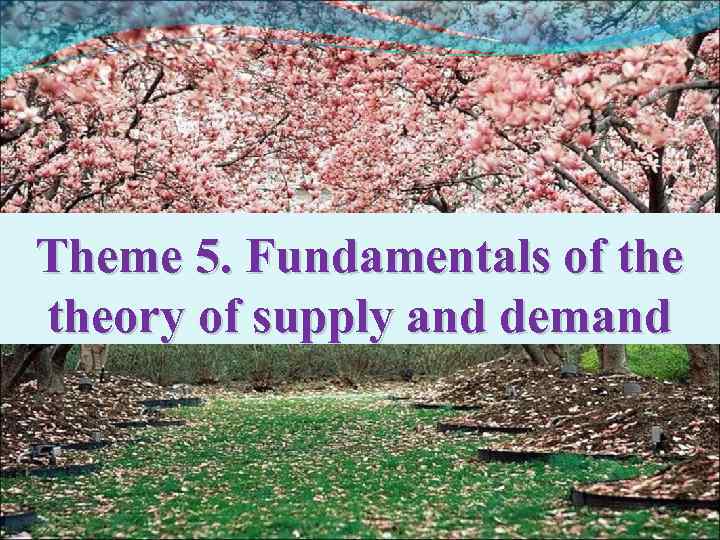 Theme 5. Fundamentals of theory of supply and demand 