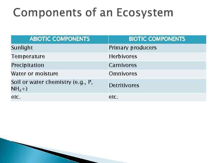 ABIOTIC COMPONENTS Sunlight Primary producers Temperature Herbivores Precipitation Carnivores Water or moisture Omnivores Soil