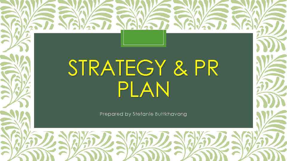 STRATEGY & PR PLAN Prepared by Stefanie Buttkhavong 