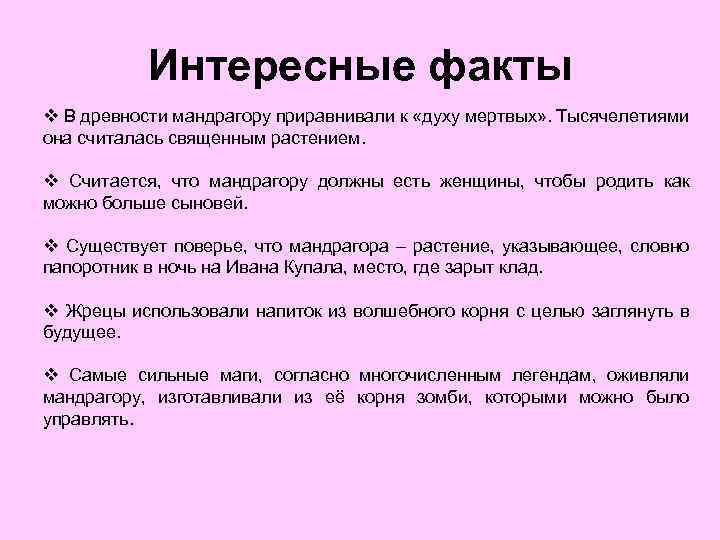 Интересные факты v В древности мандрагору приравнивали к «духу мертвых» . Тысячелетиями она считалась