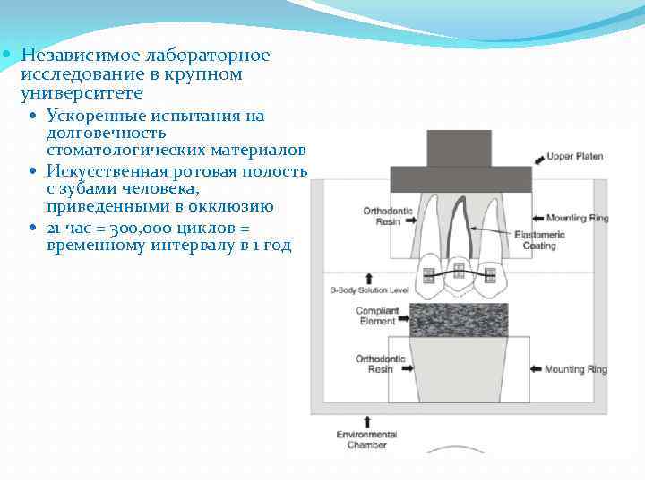  Независимое лабораторное исследование в крупном университете Ускоренные испытания на долговечность стоматологических материалов Искусственная