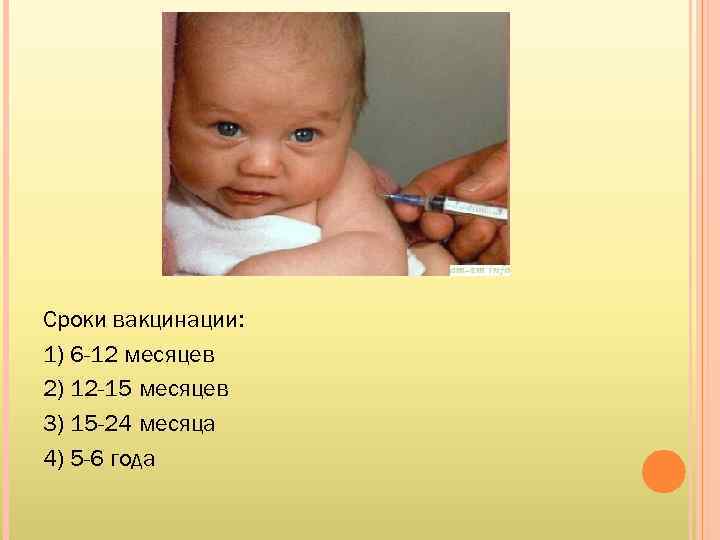 Сроки вакцинации: 1) 6 -12 месяцев 2) 12 -15 месяцев 3) 15 -24 месяца