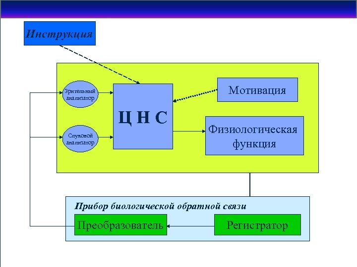 Инструкция Пациент Мотивация Зрительный анализатор ЦНС Слуховой анализатор Физиологическая функция Прибор биологической обратной связи