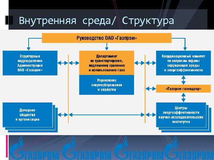 Внутренняя среда/ Структура 