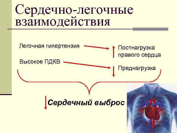 Сердечный выброс