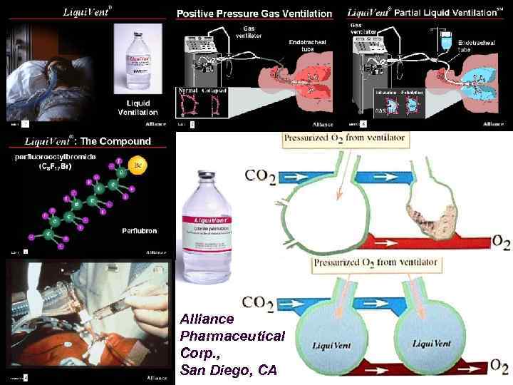 Alliance Pharmaceutical Corp. , San Diego, CA 81 