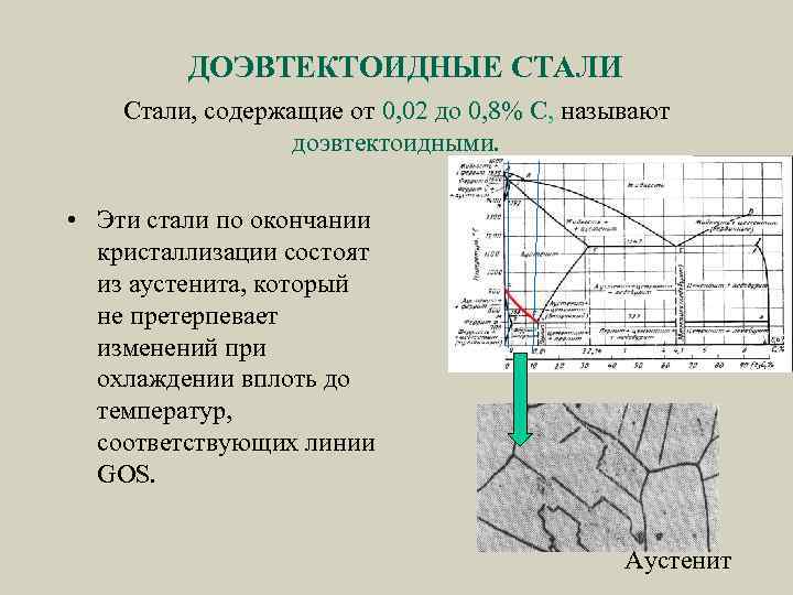 ДОЭВТЕКТОИДНЫЕ СТАЛИ Стали, содержащие от 0, 02 до 0, 8% С, называют доэвтектоидными. •