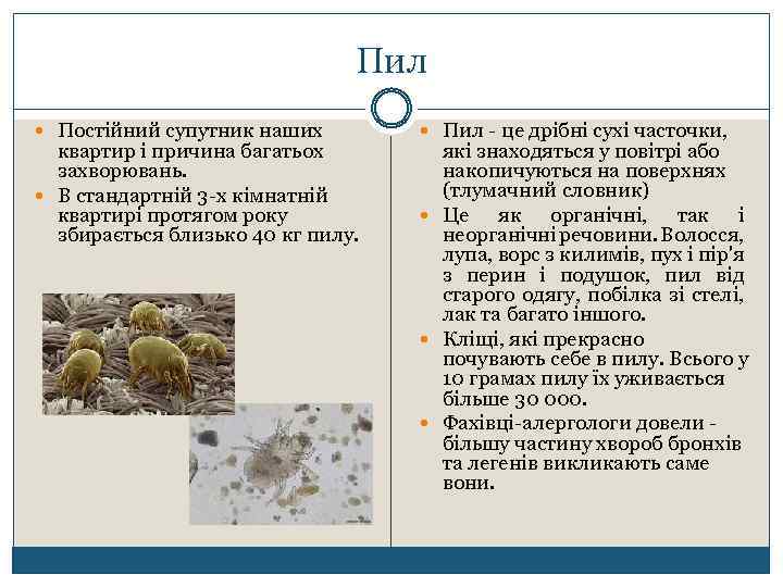 Пил Постійний супутник наших квартир і причина багатьох захворювань. В стандартній 3 -х кімнатній